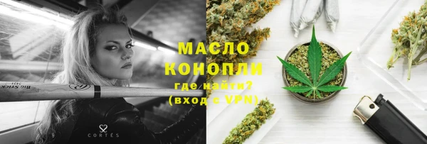 гидра Богородск