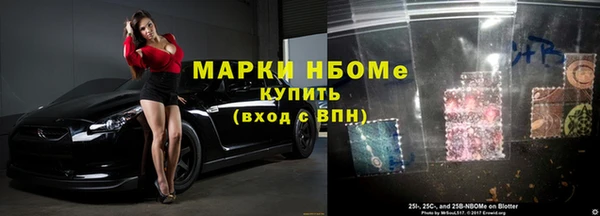 гидра Богородск