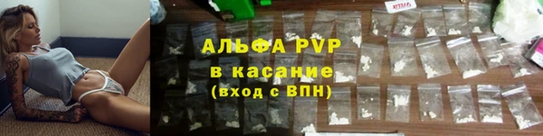 гидра Богородск