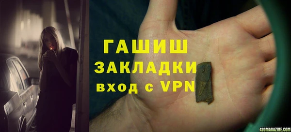 гидра Богородск