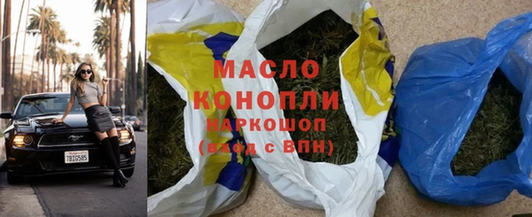 гидра Богородск
