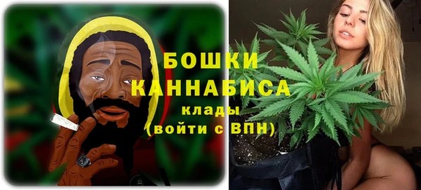 гидра Богородск