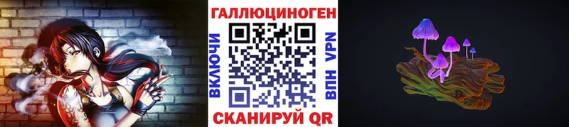 купить наркотики сайты  Ессентукская  Псилоцибиновые грибы Cubensis 